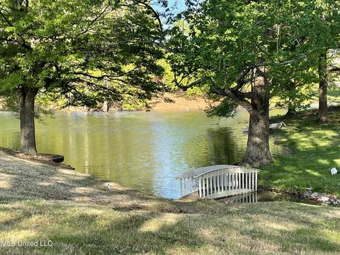 7556 Bear Cove Cv, Walls, MS 38680 photo 2