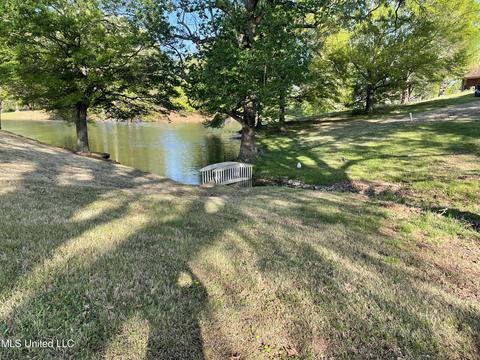 7556 Bear Cove Cv, Walls, MS 38680 photo 20