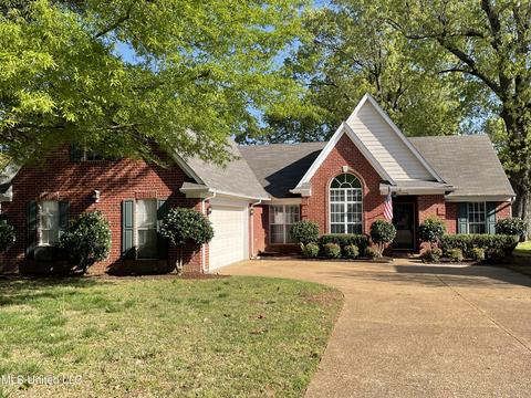 7556 Bear Cove Cv, Walls, MS 38680 photo 1