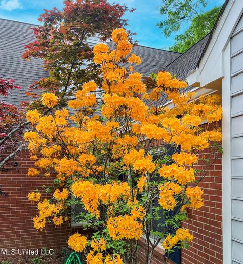 9 Moss Forest Pl, Jackson, MS 39211 photo 42