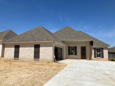 249 Buttonwood Ln, Canton, MS 39046 photo 1