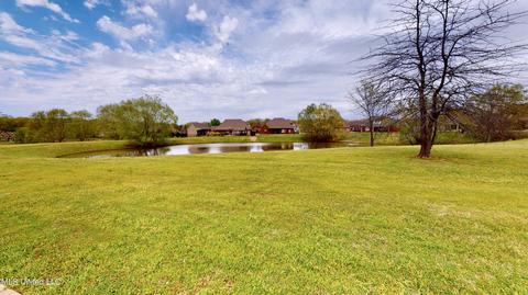 3271 S Emery Cir, Nesbit, MS 38651 photo 25