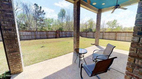 3271 S Emery Cir, Nesbit, MS 38651 photo 22