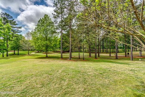 305 Vinca Cv, Madison, MS 39110 photo 60