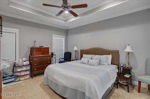 234 Falls Xing, Madison, MS 39110 photo 16