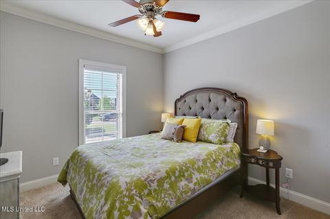 234 Falls Xing, Madison, MS 39110 photo 21