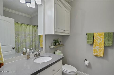 234 Falls Xing, Madison, MS 39110 photo 22