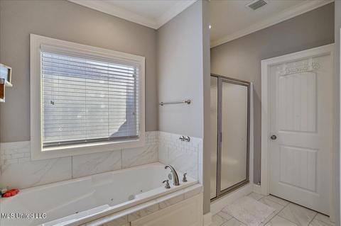 234 Falls Xing, Madison, MS 39110 photo 19