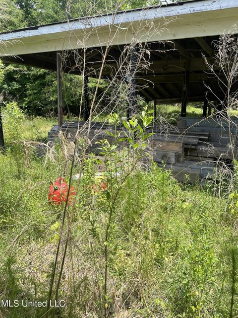 Other - 6910 Bowling Green Rd, Durant, MS 39063 photo 11 of 12