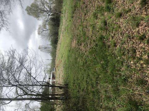 6910 Bowling Green Rd, Durant, MS 39063