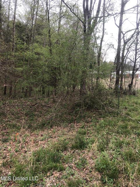 View/Area - 6910 Bowling Green Rd, Durant, MS 39063 photo 1 of 1