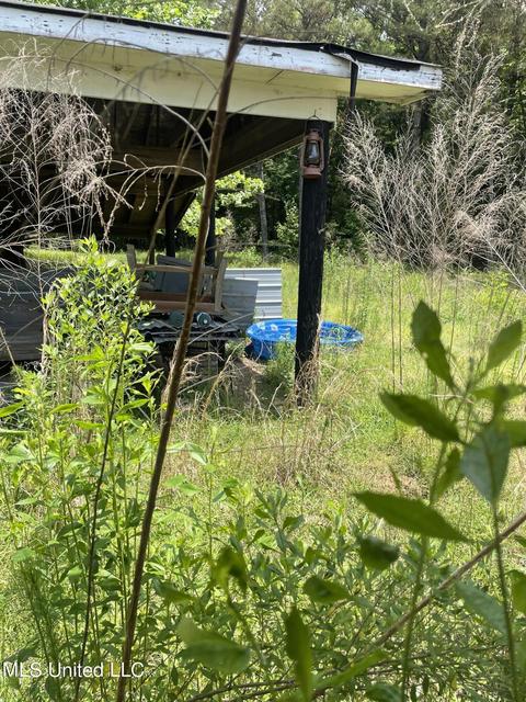 Other - 6910 Bowling Green Rd, Durant, MS 39063 photo 12 of 12
