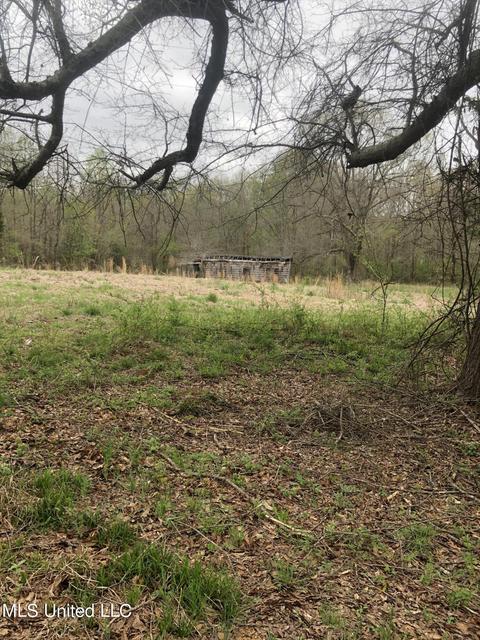 Other - 6910 Bowling Green Rd, Durant, MS 39063 photo 10 of 12