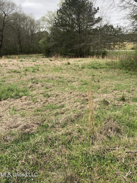 Exterior - 6910 Bowling Green Rd, Durant, MS 39063 photo 4 of 4