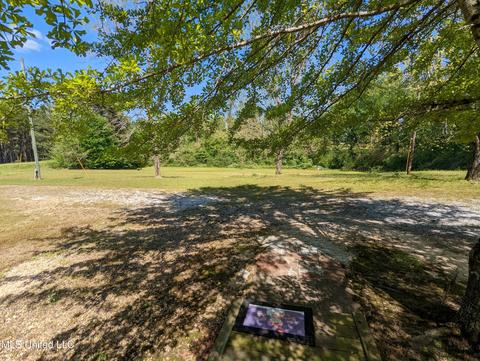 2620 Hwy 16, Carthage, MS 39051 photo 18
