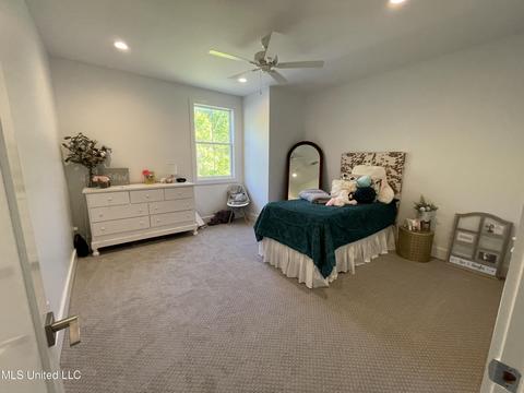 219 Birch Ln, Flowood, MS 39232 photo 33