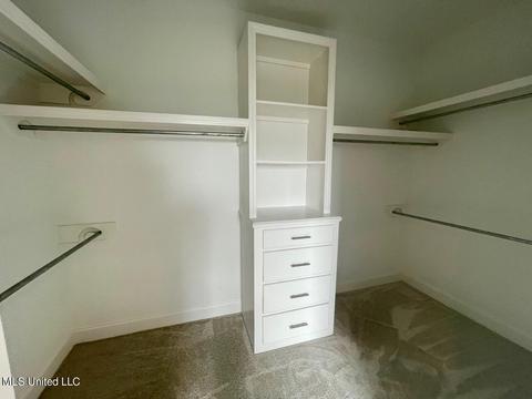 805 Glenwild Cir, Canton, MS 39046 photo 20