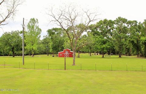 247 Holley Rd, Lucedale, MS 39452 photo 28