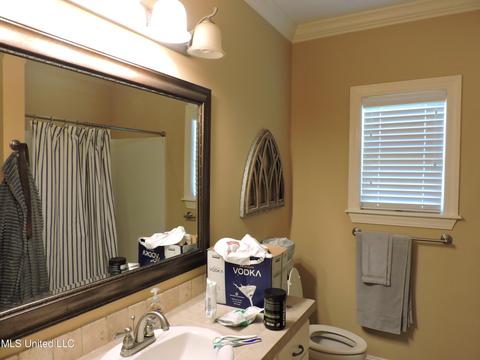 123 Busick Well Rd, Brandon, MS 39042 photo 39