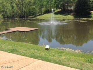 1460 Mcmaster Rd, Sarah, MS 38665 photo 39