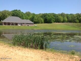 1460 Mcmaster Rd, Sarah, MS 38665 photo 19