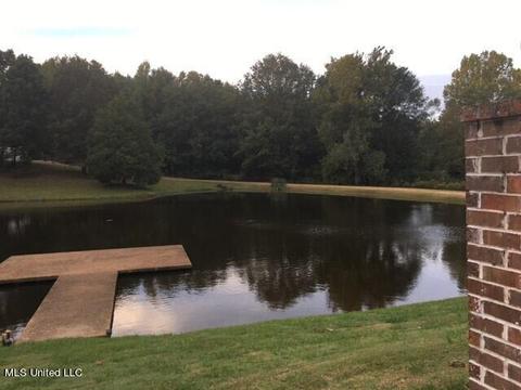 1460 Mcmaster Rd, Sarah, MS 38665 photo 13