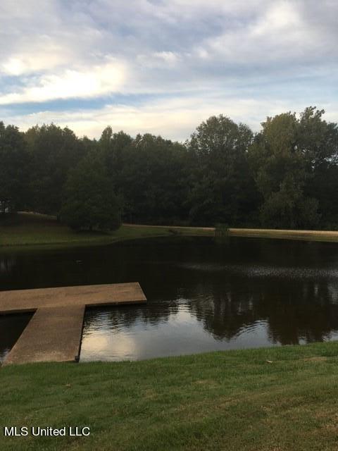 1460 Mcmaster Rd, Sarah, MS 38665 photo 12