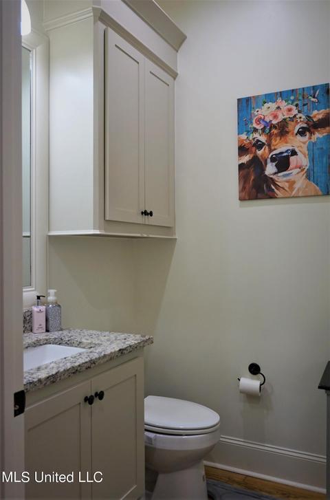 226 Glen Arbor Blvd, Brandon, MS 39042 photo 58