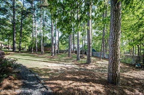 219 Haddon Cir, Brandon, MS 39047 photo 35
