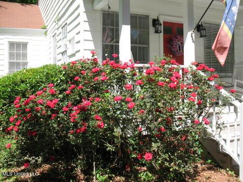 1805 Devine St, Jackson, MS 39202 photo 3