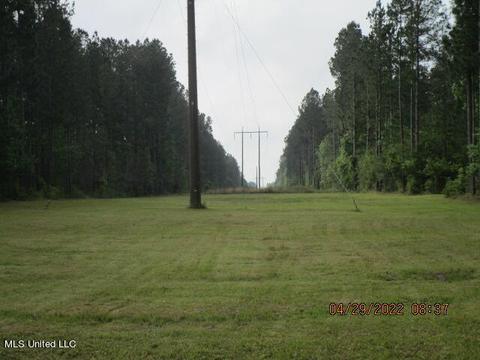 644 Ellerbee Rd, Lucedale, MS 39452 photo 7