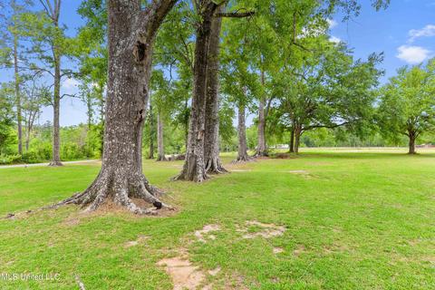 127 Cochran Poole Rd, Lucedale, MS 39452 photo 3