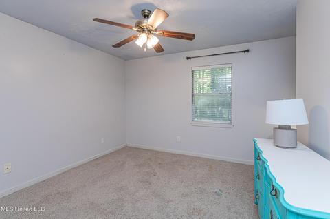 215 W Sunset Dr, Brandon, MS 39042 photo 27