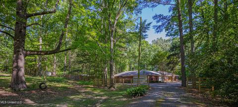 215 W Sunset Dr, Brandon, MS 39042 photo 3