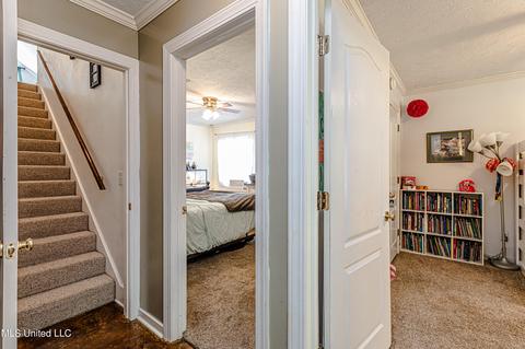 607 Hedgerow Cv, Madison, MS 39110 photo 35
