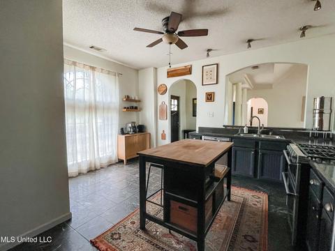3746 Pleasant Hill Rd, Nesbit, MS 38651 photo 20