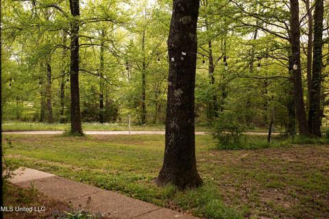 3746 Pleasant Hill Rd, Nesbit, MS 38651 photo 4