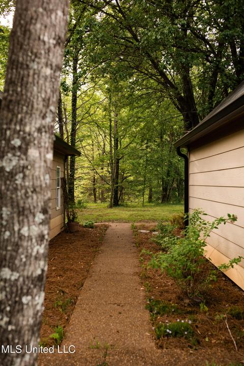 3746 Pleasant Hill Rd, Nesbit, MS 38651 photo 7