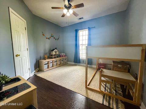 3746 Pleasant Hill Rd, Nesbit, MS 38651 photo 33