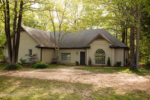 3746 Pleasant Hill Rd, Nesbit, MS 38651 photo 1