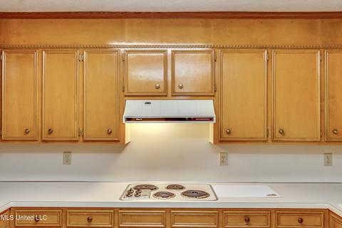 74 Sunline Dr, Brandon, MS 39042 photo 23