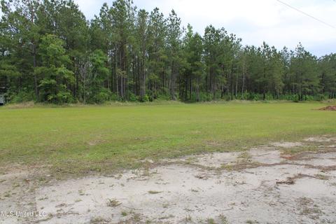 9945 Tanner Williams Rd, Lucedale, MS 39452 photo 23