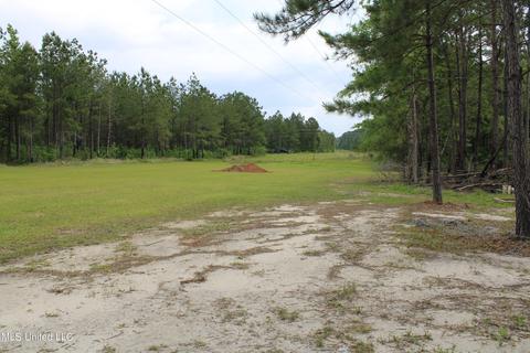 9945 Tanner Williams Rd, Lucedale, MS 39452 photo 24