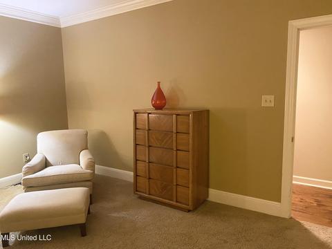 113 Trace Cove Dr, Madison, MS 39110 photo 29