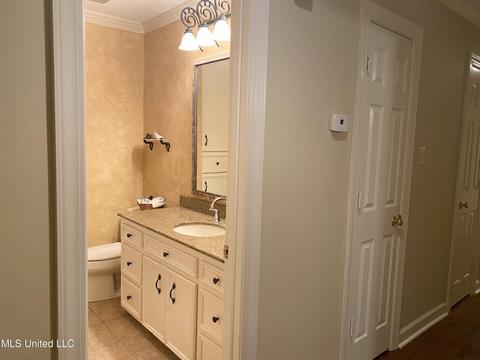 113 Trace Cove Dr, Madison, MS 39110 photo 23