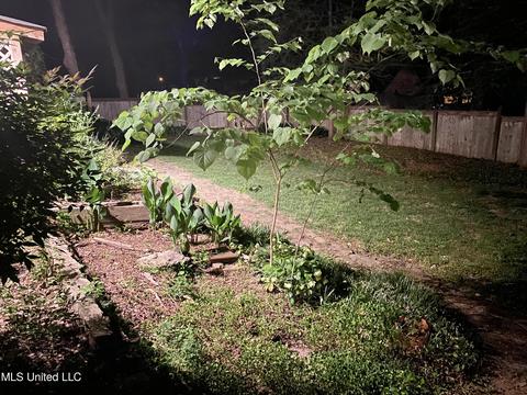 113 Trace Cove Dr, Madison, MS 39110 photo 37