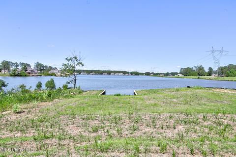 196 Lake Ridge Dr, Madison, MS 39110 photo 7
