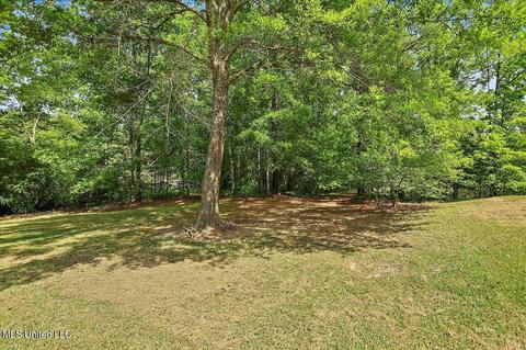 4200 Kimbell Rd, Terry, MS 39170 photo 41