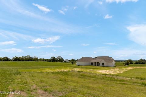 102 Sagamore Cv, Flora, MS 39071 photo 35