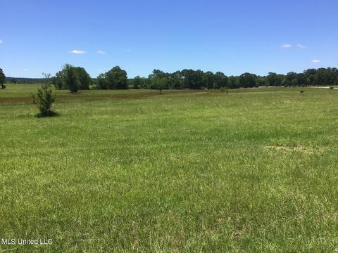 102 Sagamore Cv, Flora, MS 39071 photo 37